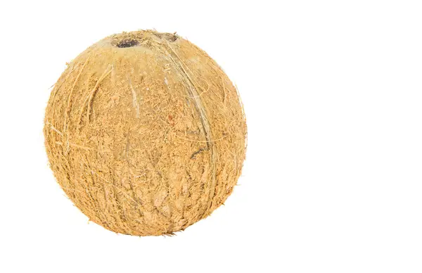 Свежий кокос — стоковое фото