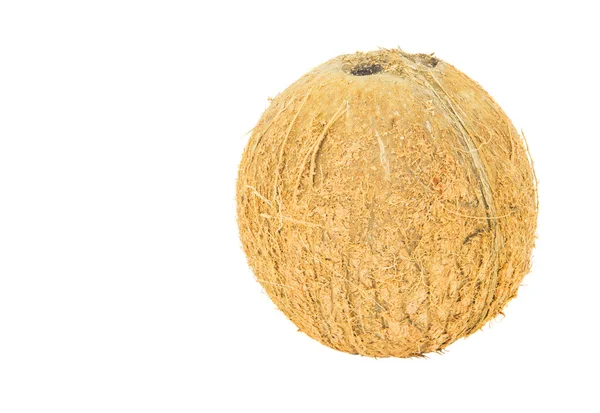 Fresh Coconut — Stock Photo, Image