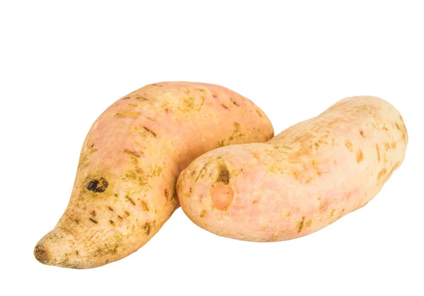 Zoete aardappel — Stockfoto