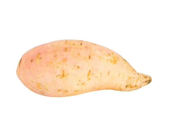 Zoete aardappel — Stockfoto