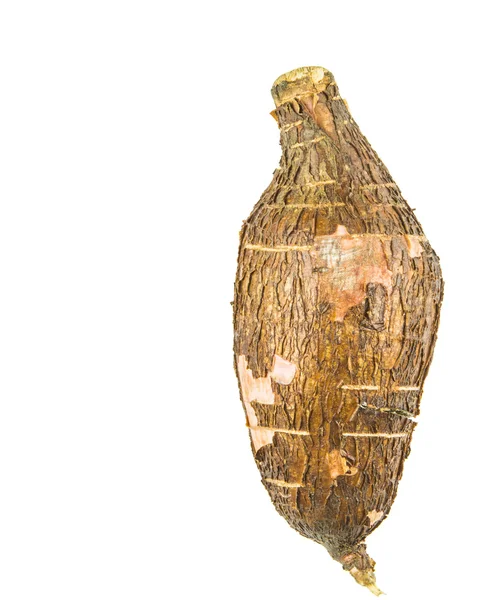 Tapioca Cassava — Stock Photo, Image