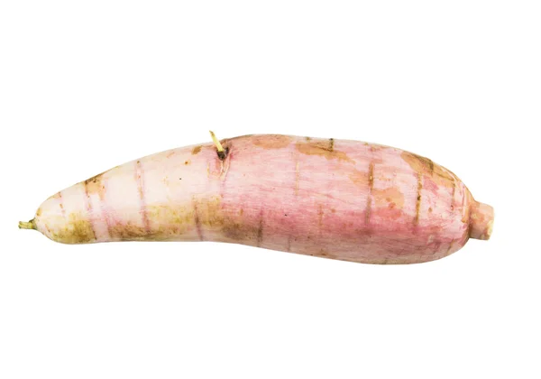 Tapioca Cassava — Stock Photo, Image