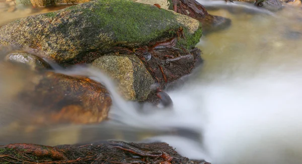 Ruscello della giungla — Foto Stock