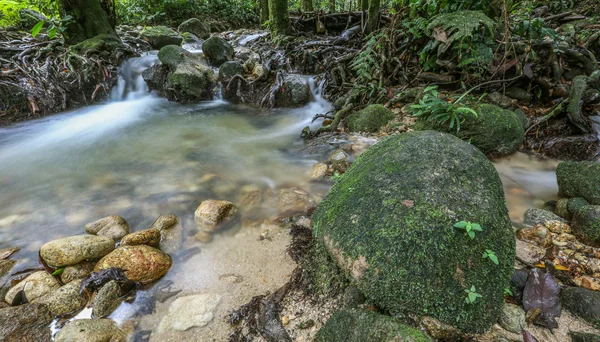 ジャングルの河川 — ストック写真