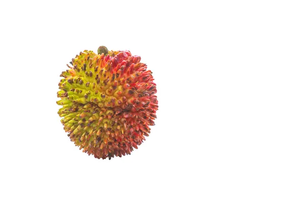 Pulasan frukt eller nephelium mutabile — Stockfoto