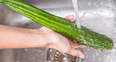 çamaşır yılan kabak sebze