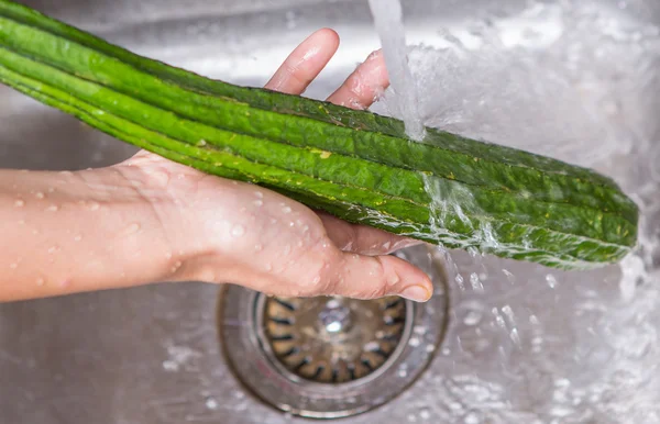 Washing Snake Gourd Vegetables — Stock Photo, Image