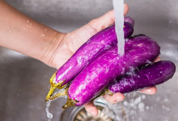 Tvätta aubergine grönsaker — Stockfoto