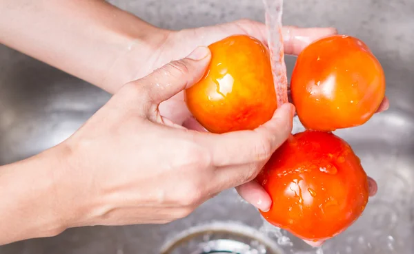 Мытье помидоров — стоковое фото