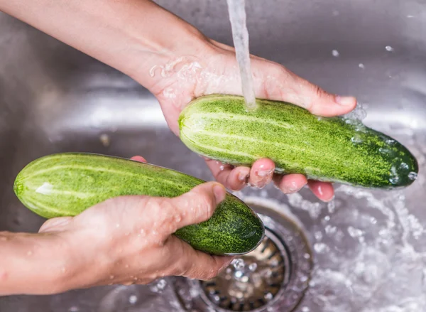 キュウリの野菜を洗う — ストック写真