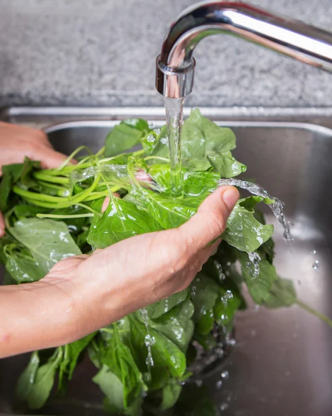 Mencuci Sayuran Bayam — Stok Foto