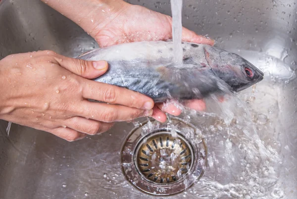 Washing Mackerel Tuna Fish — Stock Photo, Image