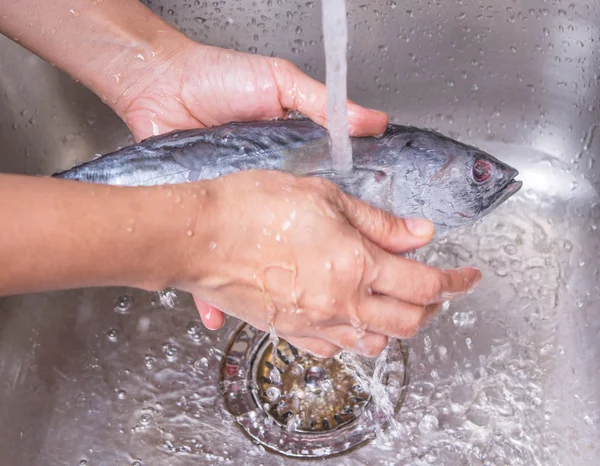 Washing Mackerel Tuna Fish — Stock Photo, Image