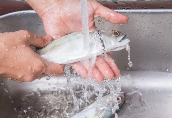 Washing Short Mackerel Fish — Stock Photo, Image