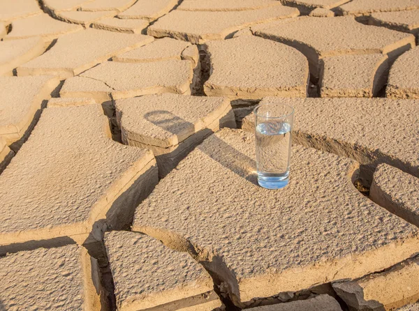 A Glass Of Water On Parched Soil — Stock Photo, Image