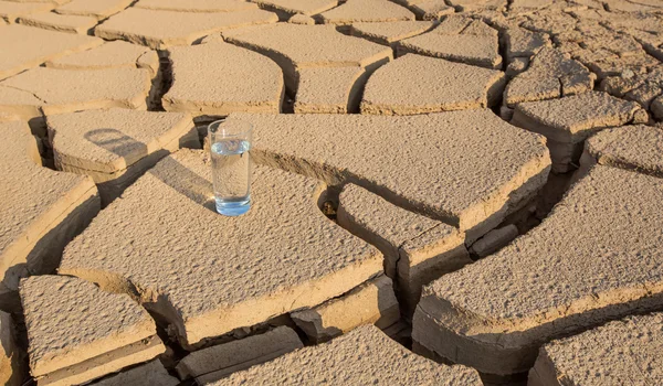 Glass on  Parched Soil — Stock Photo, Image