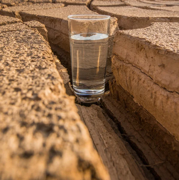 Vidro em solo seco — Fotografia de Stock