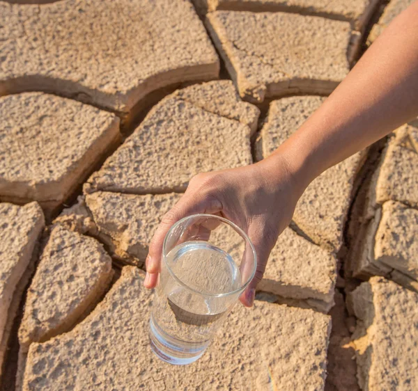 乾いた土の上のガラス — ストック写真