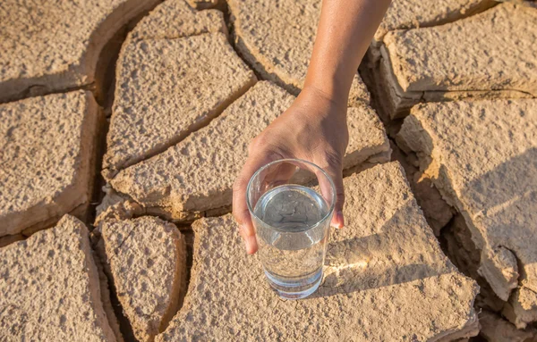 Glass on  Parched Soil — Stock Photo, Image