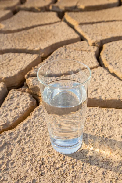 Glass on  Parched Soil — Stock Photo, Image