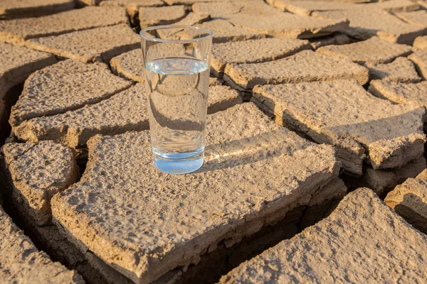 Glass on  Parched Soil — Stock Photo, Image