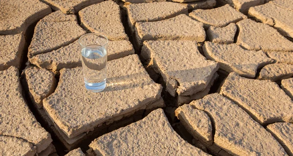 Glass on  Parched Soil — Stock Photo, Image
