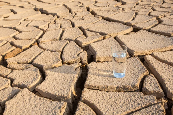 Glass on  Parched Soil — Stock Photo, Image