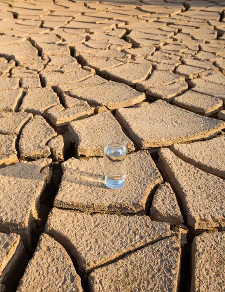 Glass on  Parched Soil — Stock Photo, Image