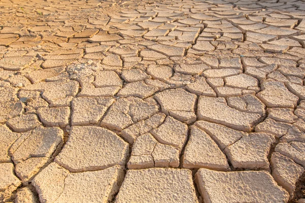 Parched Soil — Stock Photo, Image