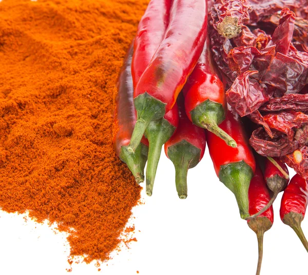 Různé formy chilli — Stock fotografie