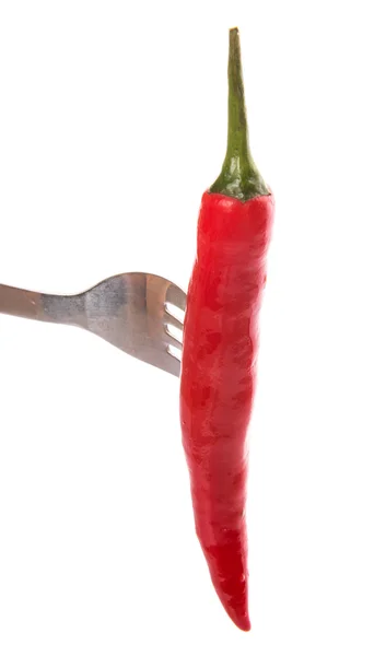 Chili et fourchette — Photo