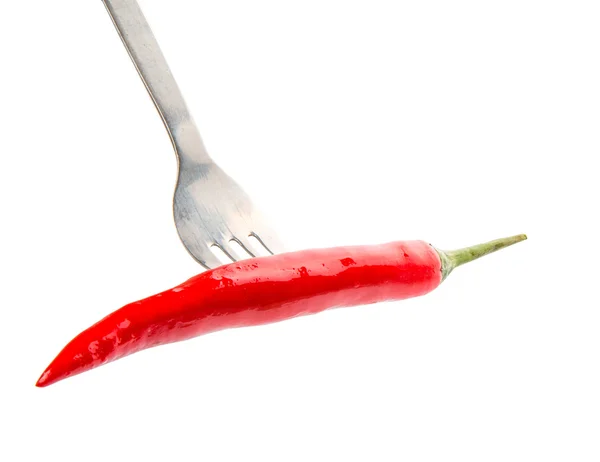 Chili och gaffel — Stockfoto