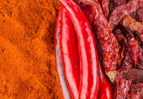 Různé formy chilli — Stock fotografie