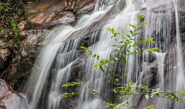 Jungle Waterfall — Stock Photo, Image