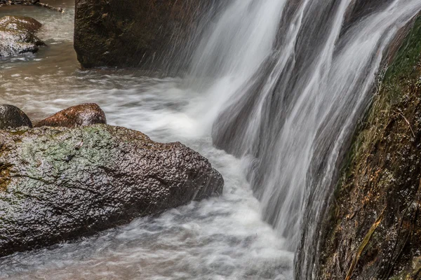 Jungle waterval — Stockfoto