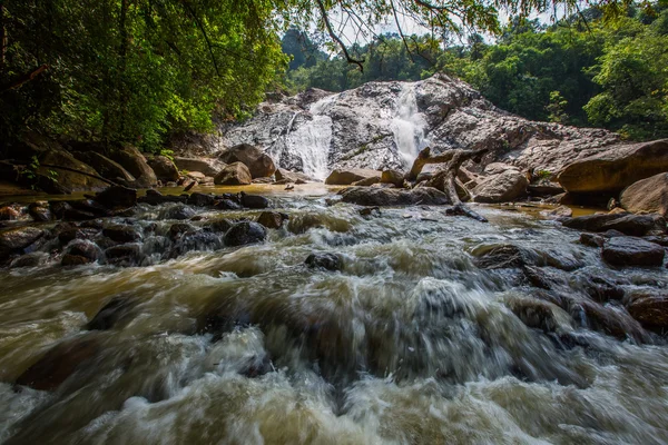 Cascata della giungla — Foto Stock