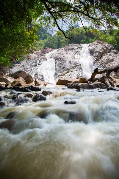 Cascata della giungla — Foto Stock