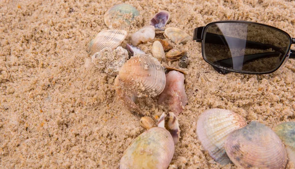 Zonnebril op zand — Stockfoto