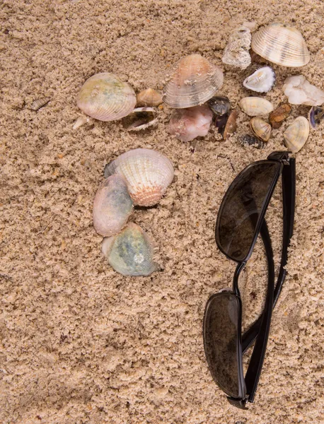 Óculos de sol na areia — Fotografia de Stock