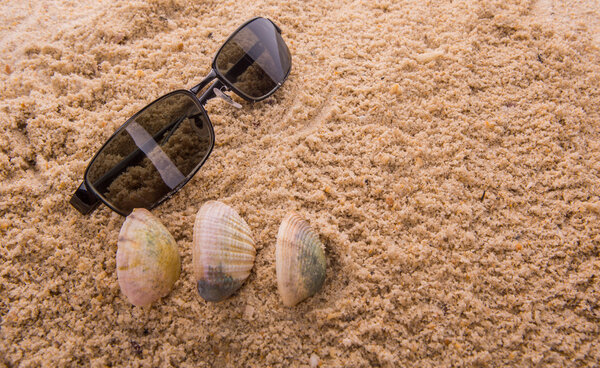 Sunglasses On Sand