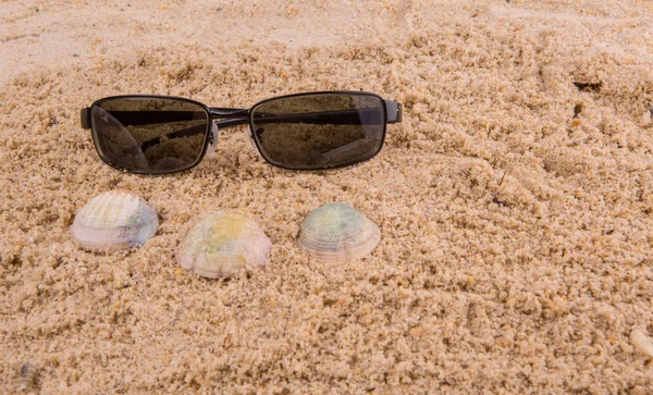 Zonnebril op zand — Stockfoto