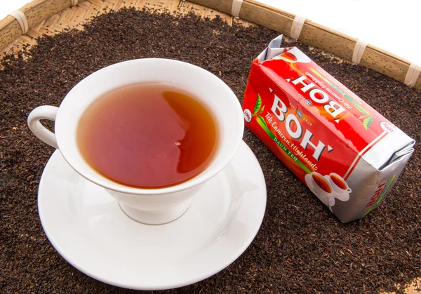 BOH čaj — Stock fotografie