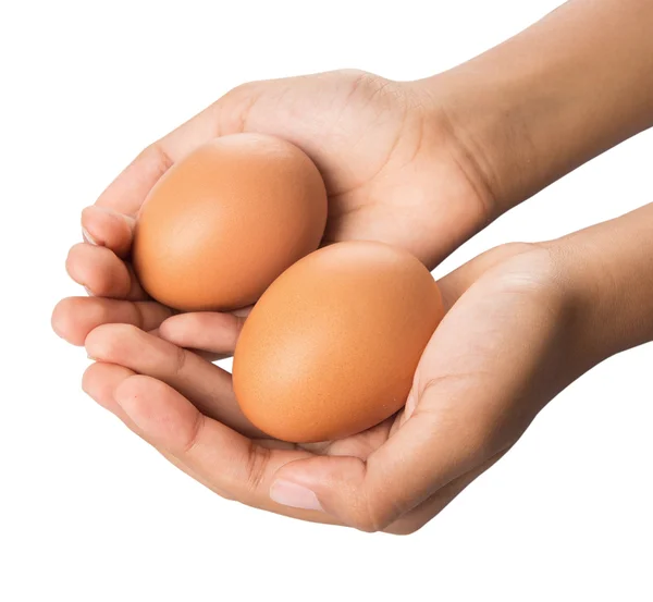 Mains tenant des œufs de poulet — Photo