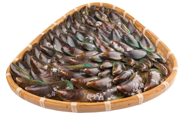 Saltwater Mussels — Stock Photo, Image