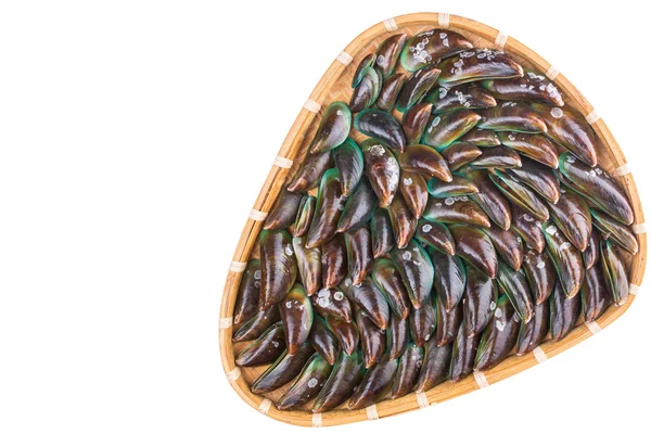 Saltwater Mussels — Stock Photo, Image