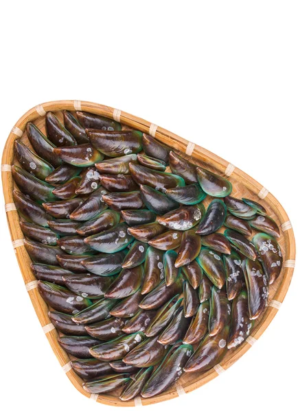 Saltwater Mussels — Stock Photo, Image