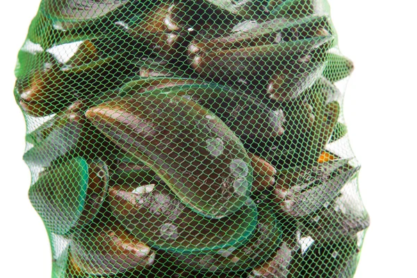 Saltvatten musslor — Stockfoto
