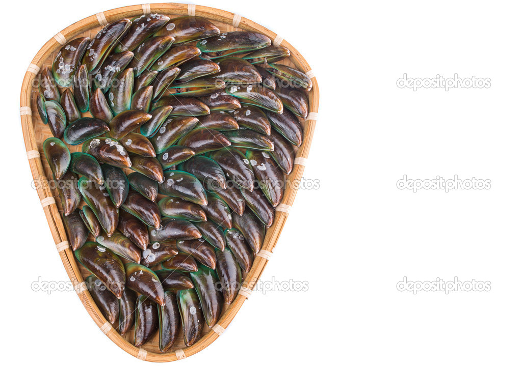 Saltwater Mussels