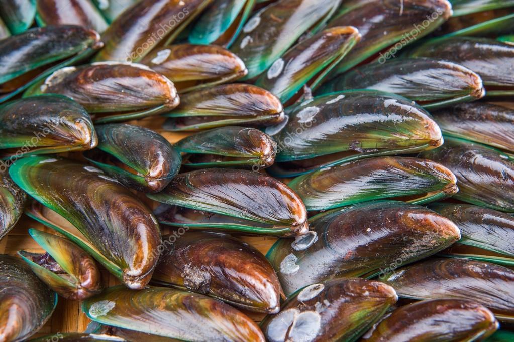 Saltwater Mussels Stock Photo by ©akulamatiau 47376083