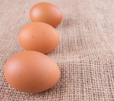 tavuk yumurta